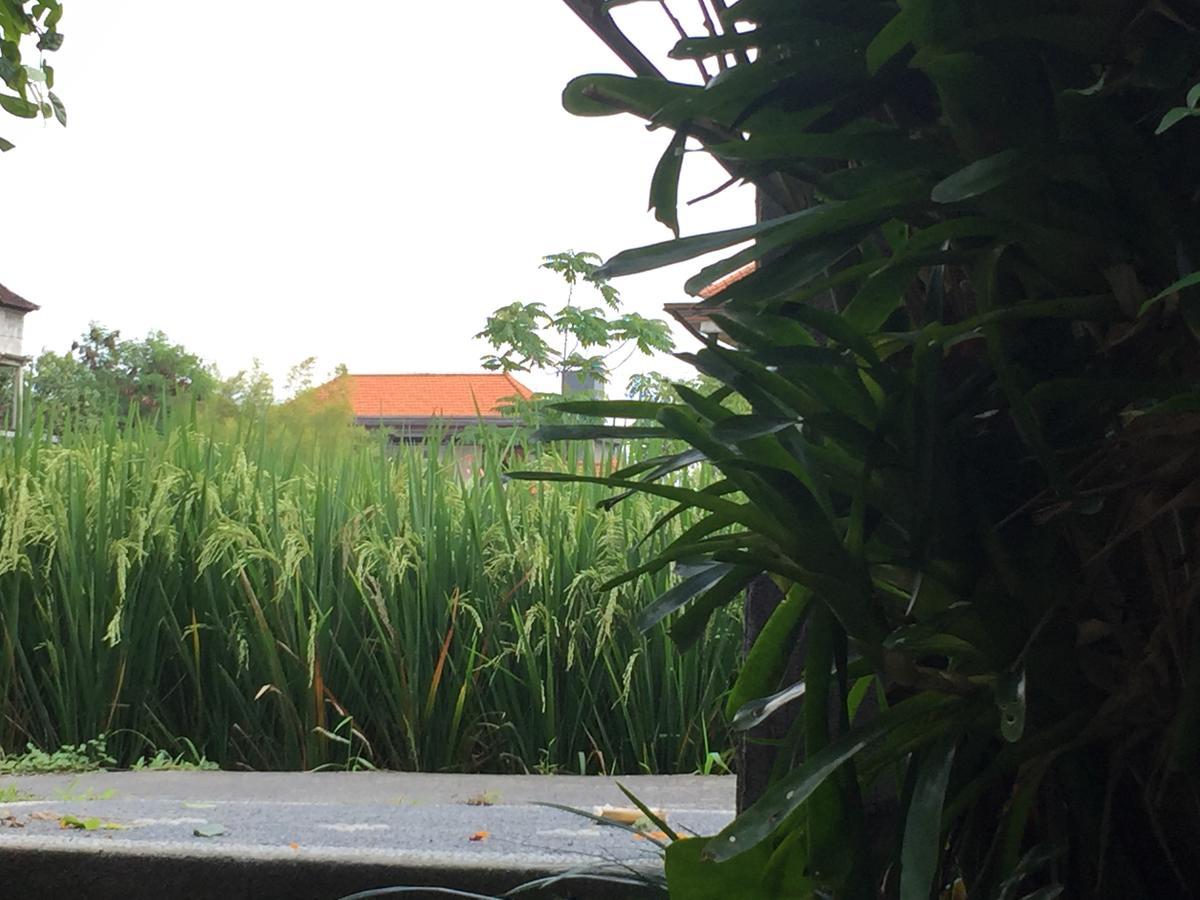Ferienwohnung Depong House Ubud Exterior foto
